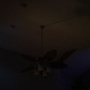 Meet your Posher, Maddy